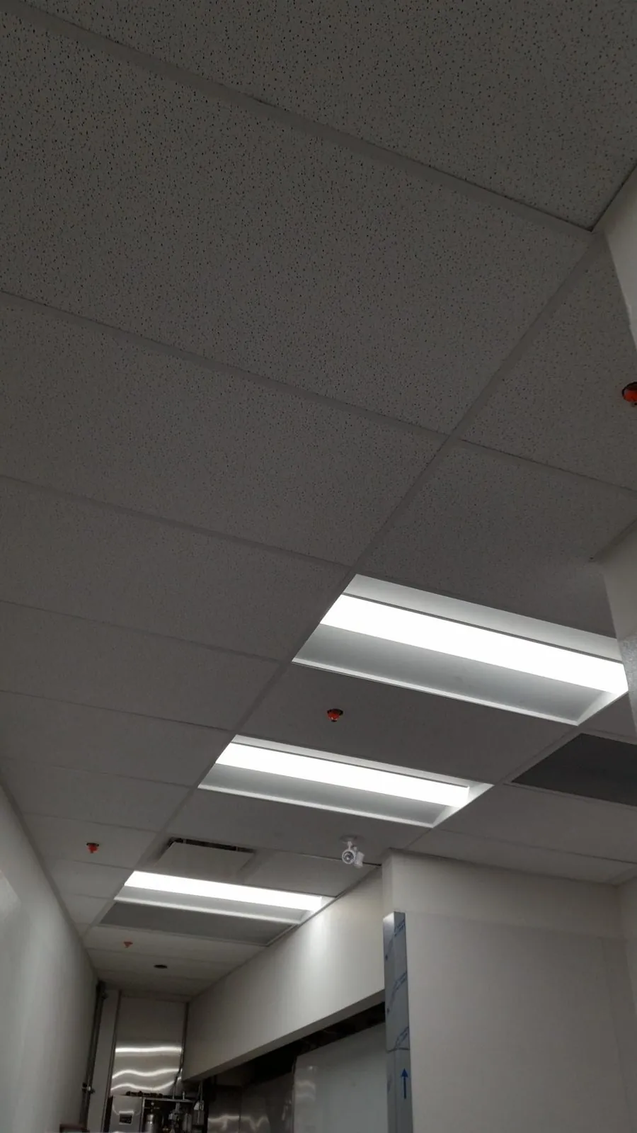 South Street Burger kitchen ceiling — supplied project archive view 2.