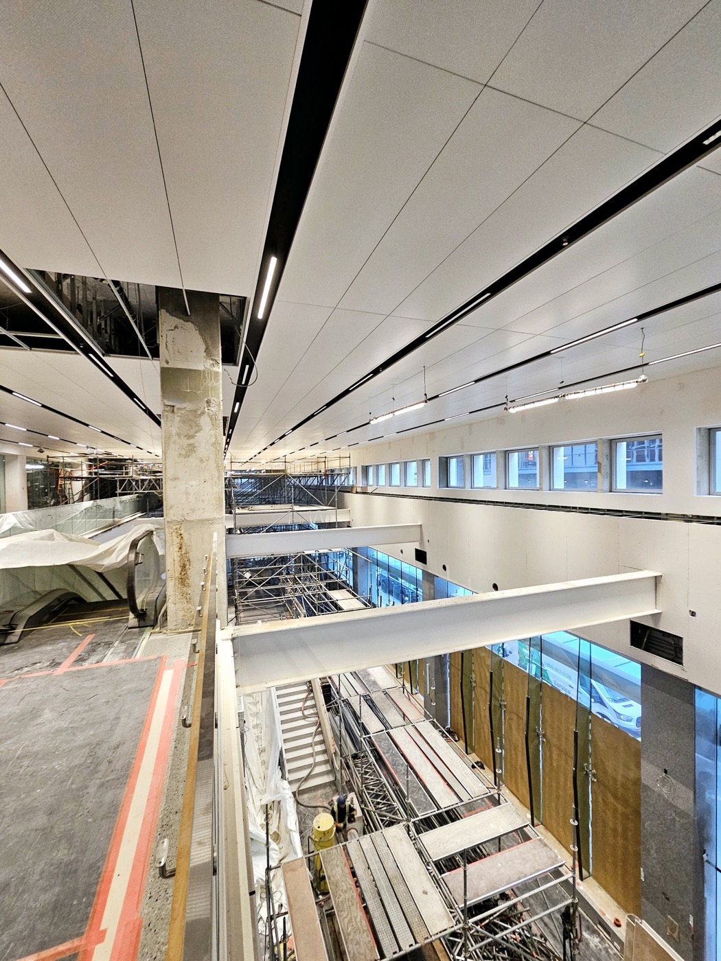 Large-format suspended ceiling panels installed along a commercial interior.