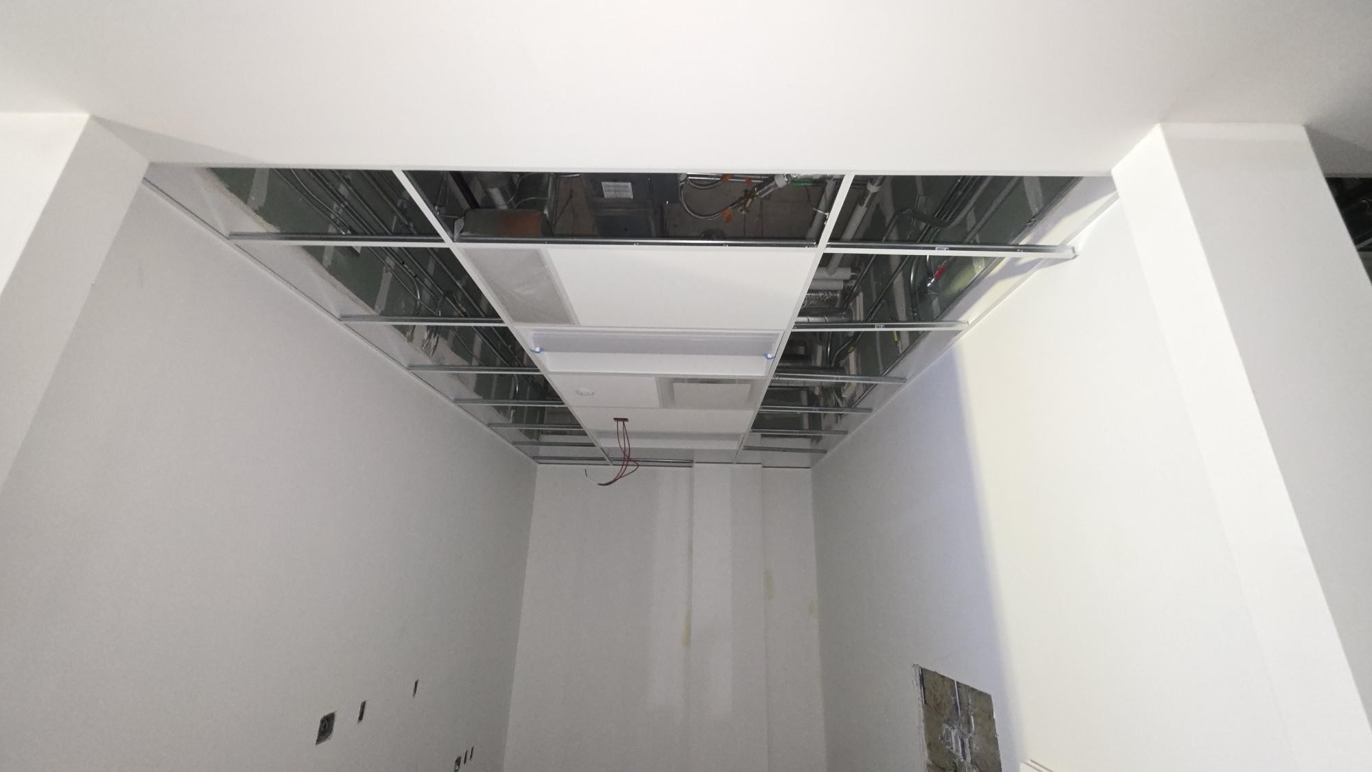 Selected panels sit within the T-bar grid while adjacent bays remain open.